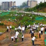 Jajaran OIKN gelar kegiatan rutin penanaman pohon.