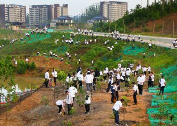 Jajaran OIKN gelar kegiatan rutin penanaman pohon.