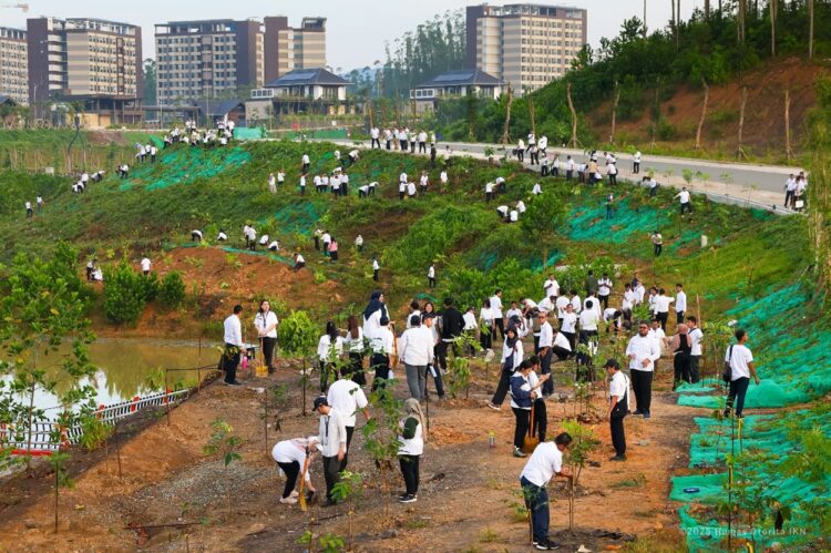 Jajaran OIKN gelar kegiatan rutin penanaman pohon.