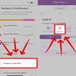 RAHASIA LOCKUP PI NETWORK