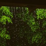 prakiraan cuaca IKN hari ini