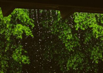 prakiraan cuaca IKN hari ini