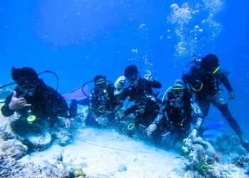 Kunjungan Wisatawan Nusantara ke Provinsi Penyangga IKN Capai 60 Persen dari Target