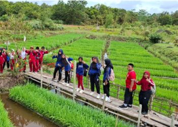 Pertamina PF Muda 2025