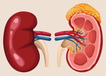 makanan penyebab gagal ginjal