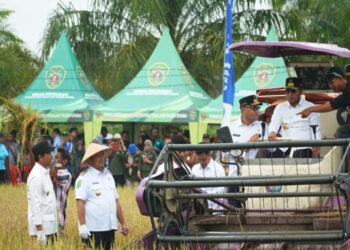 Sektor Pertanian di Gerbang Nusantara Dapat Dukungan Penuh Pemprov Kaltim
