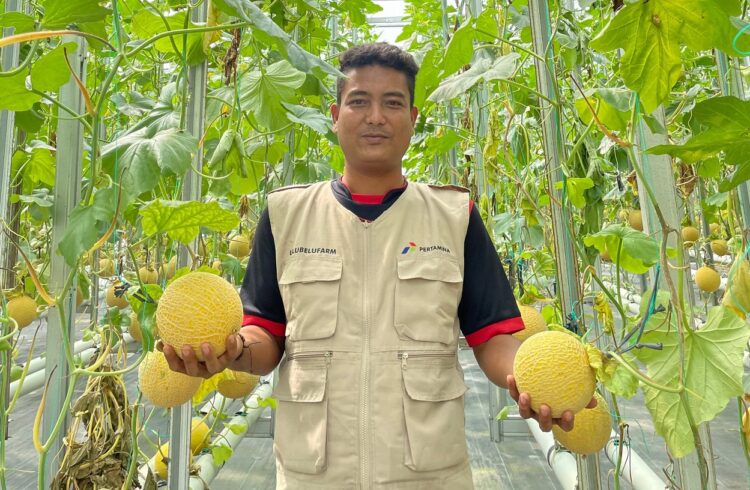 Pilot Plant Green Hydrogen Pertamina Geothermal Energy diresmikan di Ulubelu, Lampung.