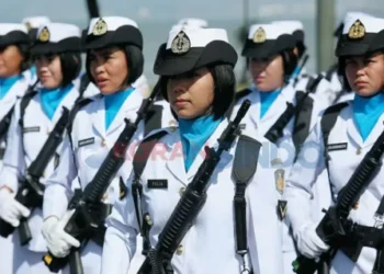 Rekrutmen Pa PK TNI 2025: Perempuan Bisa Daftar Jadi Perwira, Ini Daftar Jurusan D4-S1 yang Dibutuhkan