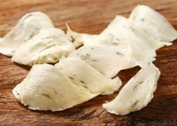 Lewat Pungutan Pajak Sarang Burung Walet, Pemkab PPU Upayakan Peningkatan PAD