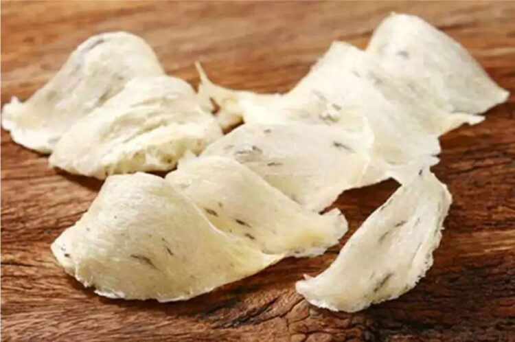 Lewat Pungutan Pajak Sarang Burung Walet, Pemkab PPU Upayakan Peningkatan PAD