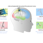 Teknologi Mikroelektrode