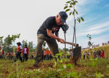 Visi Forest City Nusantara, Otorita IKN Tanam 700 Pohon Produktif di DAS Sanggai
