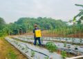 JTT Dorong Produktivitas Petani Bekasi Lewat Bantuan Alat Semprot Elektrik