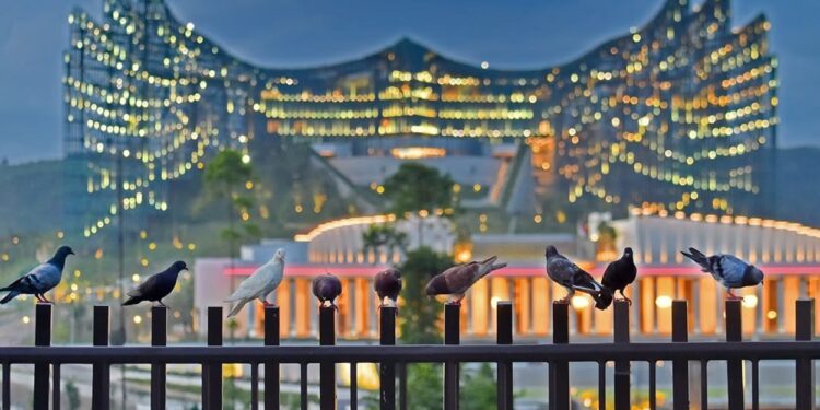 Pak Bas: Meski Anggaran Dipangkas, Pembangunan Kawasan Legislatif-Yudikatif IKN Terus Berlanjut