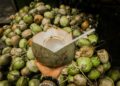 manfaat air kelapa