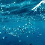 hujan mikroplastik di Indonesia