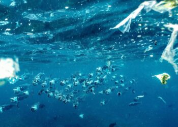 hujan mikroplastik di Indonesia