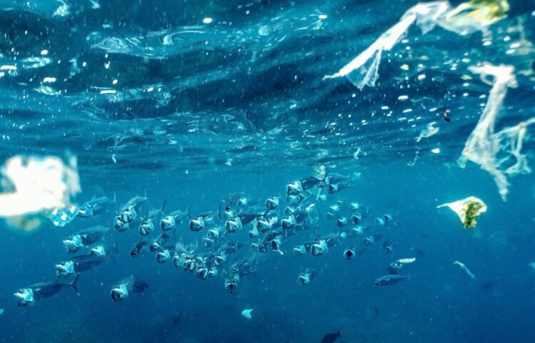 hujan mikroplastik di Indonesia