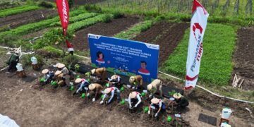 Inovasi di Tengah Kemarau, Pertamina Tanam Harapan Bersama Petani Desa Sobokerto