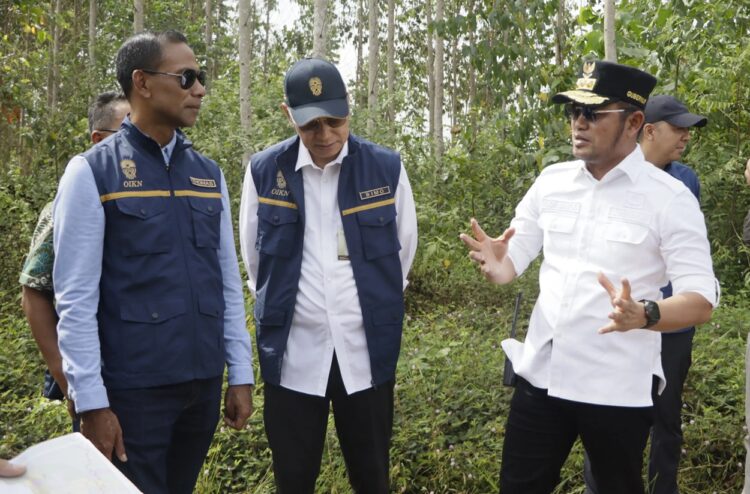 OIKN-Pemprov Kaltim Dorong Pembangunan Fasilitas Golf di Ruang Terbuka Hijau IKN