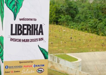 OIKN Target Kembangkan 2.000 Hektare Lahan Kopi Produktif di Nusantara