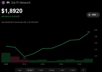 Pi Network 2025