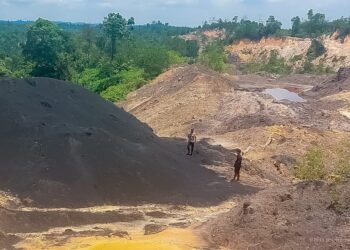 OIKN Komitmen Jaga Kawasan Nusantara dari Praktik Ilegal yang Mengancam Kelestarian Lingkungan