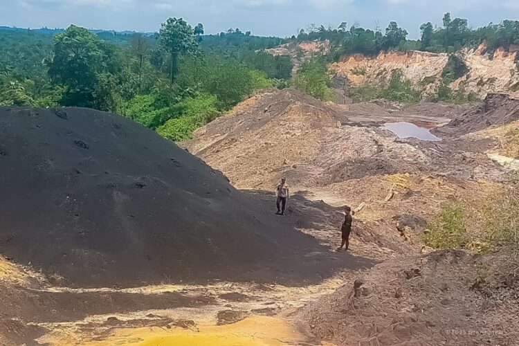 OIKN Komitmen Jaga Kawasan Nusantara dari Praktik Ilegal yang Mengancam Kelestarian Lingkungan