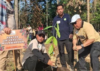 Penanaman 1.010 Pohon Kopi Liberika di IKN Cetak Rekor MURI