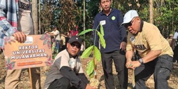 Penanaman 1.010 Pohon Kopi Liberika di IKN Cetak Rekor MURI