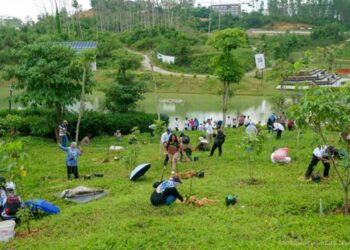 Penanaman Kopi Liberika Bukti Dimulainya Inisiatif Pertanian Berkelanjutan di IKN