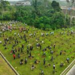 OIKN canangkan program penanaman pohon setiap dua pekan.