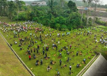 OIKN canangkan program penanaman pohon setiap dua pekan.