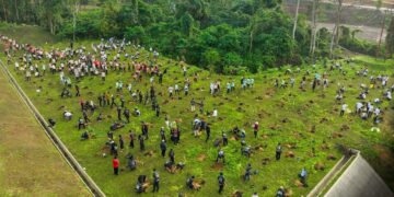 OIKN canangkan program penanaman pohon setiap dua pekan.