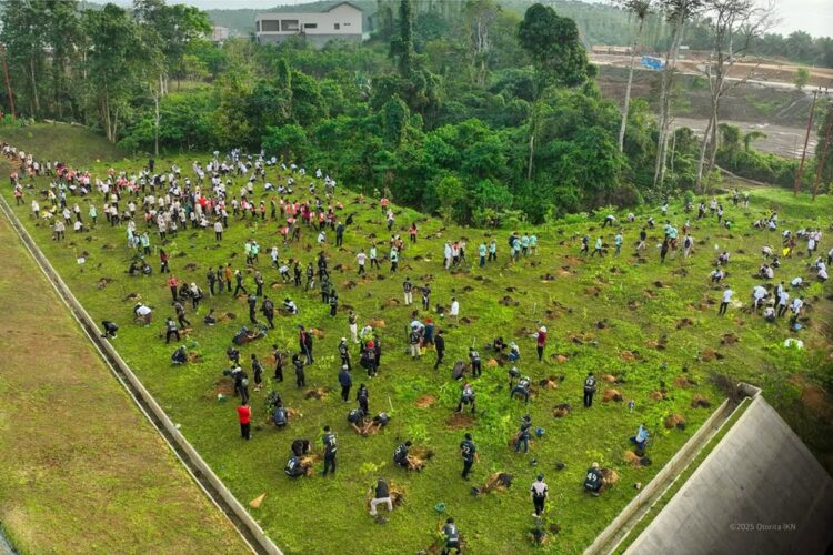 OIKN canangkan program penanaman pohon setiap dua pekan.