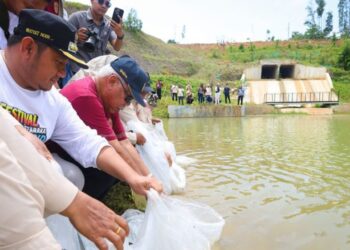 Jaga Sumber Pangan Protein, Otorita IKN Tebar 500 Kg Benih Ikan