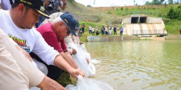 Jaga Sumber Pangan Protein, Otorita IKN Tebar 500 Kg Benih Ikan