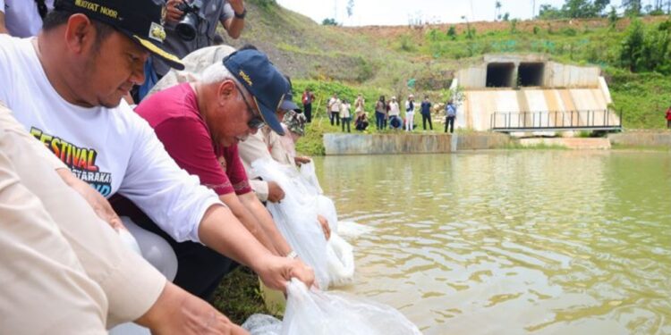 Jaga Sumber Pangan Protein, Otorita IKN Tebar 500 Kg Benih Ikan