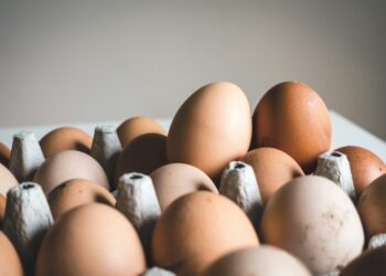 cara mengetahui telur baik atau basi