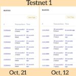 Kemajuan Pi Network Testnet 1