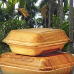 wadah makanan pelepah pinang