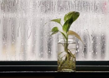 cuaca Kalimantan Timur