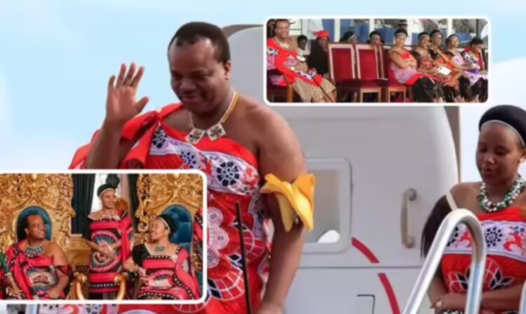 Raja Mswati III Abu Dhabi