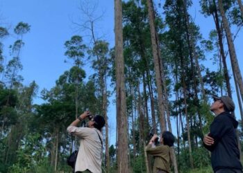 OIKN Perkuat Kolaborasi dengan ITB dalam Pengelolaan Rimba Kota Nusantara