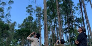 OIKN Perkuat Kolaborasi dengan ITB dalam Pengelolaan Rimba Kota Nusantara