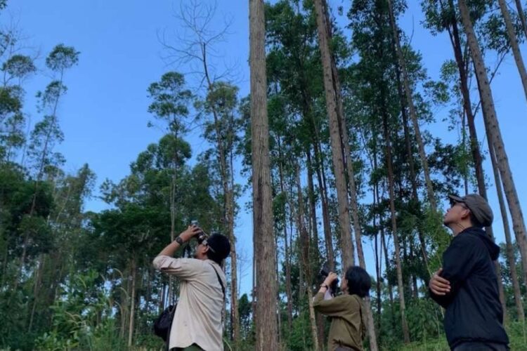 OIKN Perkuat Kolaborasi dengan ITB dalam Pengelolaan Rimba Kota Nusantara