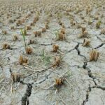 Hari Tanpa Hujan Ciamis