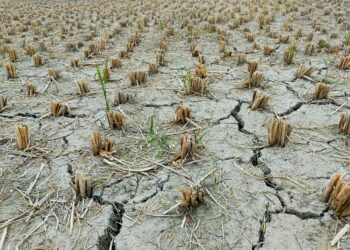 Hari Tanpa Hujan Ciamis