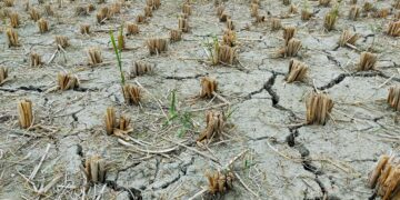 Hari Tanpa Hujan Ciamis