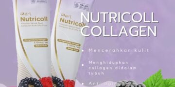 Nutricoll B ERL